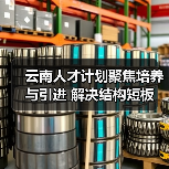 云南人才计划聚焦培养与引进 解决结构短板（图2）