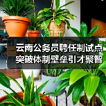 云南公务员聘任制试点突破体制壁垒引才聚智（图2）