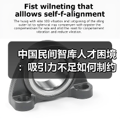 中国民间智库人才困境:吸引力不足如何制约发展?(图1) 中国民间智库人才困境:吸引力不足如何制约发展?(图1)
