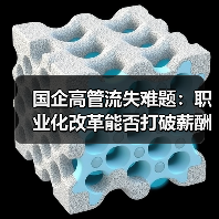 国企高管流失难题:职业化改革能否打破薪酬困局?(图2) 国企高管流失难题:职业化改革能否打破薪酬困局?(图2)