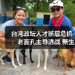 台湾政坛人才断层危机：老面孔主导选战 新生代何在？（图2）