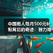 中国雨人每月500元补贴背后的奇迹:智力障碍少年的数学天赋(图4) 中国雨人每月500元补贴背后的奇迹:智力障碍少年的数学天赋(图4)