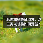 韩国放宽签证引才，这三类人才将如何受益？（图3）