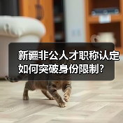 新疆非公人才职称认定如何突破身份限制?(图1) 新疆非公人才职称认定如何突破身份限制?(图1)