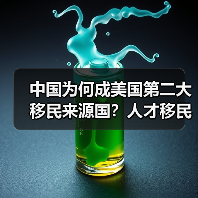 中国为何成美国第二大移民来源国?人才移民特征显著(图2) 中国为何成美国第二大移民来源国?人才移民特征显著(图2)