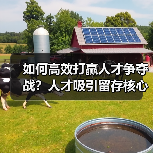如何高效打赢人才争夺战？人才吸引留存核心策略