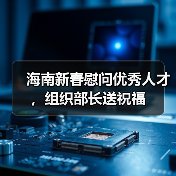 海南新春慰问优秀人才，组织部长送祝福（图3）