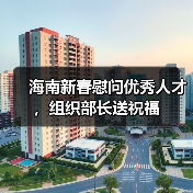 海南新春慰问优秀人才，组织部长送祝福