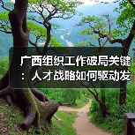 广西组织工作破局关键:人才战略如何驱动发展?(图3) 广西组织工作破局关键:人才战略如何驱动发展?(图3)