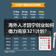海外人才回宁创业如何借力南京321计划?(图2) 海外人才回宁创业如何借力南京321计划?(图2)