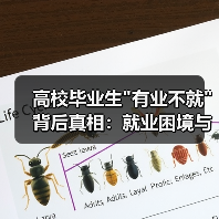高校毕业生 高校毕业生