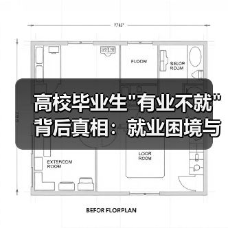 高校毕业生 高校毕业生