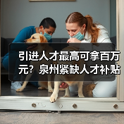 引进人才最高可拿百万元？泉州紧缺人才补贴全解析（图1）