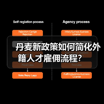 丹麦新政策如何简化外籍人才雇佣流程？（图2）