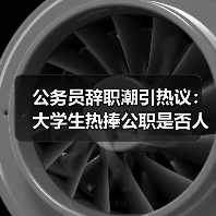 公务员辞职潮引热议：大学生热捧公职是否人才浪费？（图4）