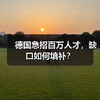 德国急招百万人才,缺口如何填补?(图2) 德国急招百万人才,缺口如何填补?(图2)