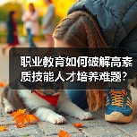 职业教育如何破解高素质技能人才培养难题？（图3）
