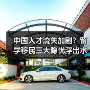 中国人才流失加剧？留学移民三大隐忧浮出水面（图4）
