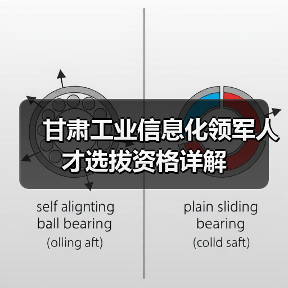 甘肃工业信息化领军人才选拔资格详解(图3) 甘肃工业信息化领军人才选拔资格详解(图3)