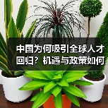 中国为何吸引全球人才回归？机遇与政策如何驱动选择？（图1）