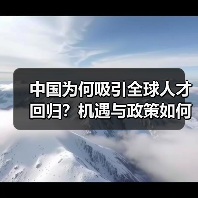 中国为何吸引全球人才回归？机遇与政策如何驱动选择？（图4）