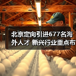 北京定向引进677名海外人才 新兴行业重点布局方向分析（图4）