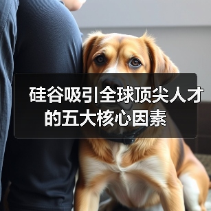 硅谷吸引全球顶尖人才的五大核心因素（图4）