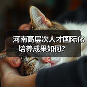 河南高层次人才国际化培养成果如何？（图1）