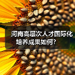 河南高层次人才国际化培养成果如何？（图2）