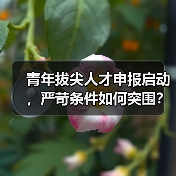 青年拔尖人才申报启动，严苛条件如何突围？（图1）