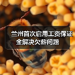兰州首次启用工资保证金解决欠薪问题（图1）