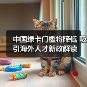 中国绿卡门槛将降低 吸引海外人才新政解读