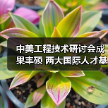 中美工程技术研讨会成果丰硕 两大国际人才基地落户福州（图2）