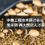 中美工程技术研讨会成果丰硕 两大国际人才基地落户福州（图4）