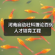河南启动社科理论百优人才培育工程（图1）
