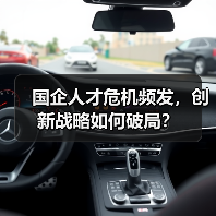 国企人才危机频发，创新战略如何破局？（图4）