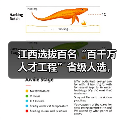 江西选拔百名“百千万人才工程”省级人选，名额分配有何重点？（图1）