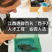 江西选拔百名“百千万人才工程”省级人选，名额分配有何重点？（图2）