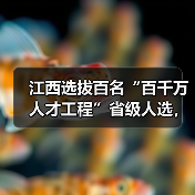 江西选拔百名“百千万人才工程”省级人选，名额分配有何重点？（图3）