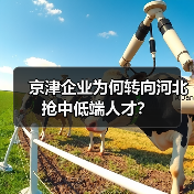 京津企业为何转向河北抢中低端人才？（图4）