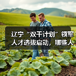 辽宁“双千计划”领军人才选拔启动，哪些人符合条件？（图4）