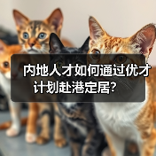 内地人才如何通过优才计划赴港定居？（图1）