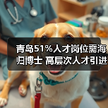 青岛51%人才岗位需海归博士 高层次人才引进策略（图1）
