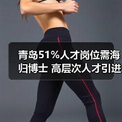 青岛51%人才岗位需海归博士 高层次人才引进策略（图4）