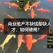 商业地产不缺钱却缺人才，如何破局？（图2）