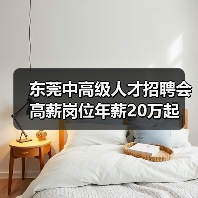 东莞中高级人才招聘会 高薪岗位年薪20万起（图2）