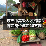 东莞中高级人才招聘会 高薪岗位年薪20万起