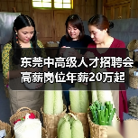 东莞中高级人才招聘会 高薪岗位年薪20万起（图4）