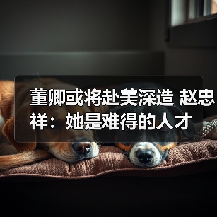 董卿或将赴美深造 赵忠祥：她是难得的人才（图1）