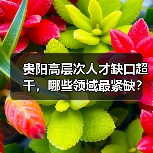 贵阳高层次人才缺口超千,哪些领域最紧缺?(图2) 贵阳高层次人才缺口超千,哪些领域最紧缺?(图2)